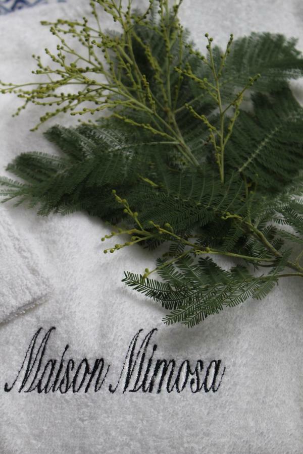 Maison Mimosa Névez Esterno foto